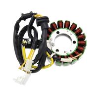 Stator Plate Ignition Coil Motorcycle Accessories Ignition Generator Stator Coil For NHX110 elite Magneto Engine Parts Snow Moped Moto Equipments 12V