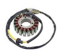 Stator Plate Ignition Coil Motorcycle Ignition Magneto Stator Coil for Sea-Doo GTI GTR GTX L&imited SE 130 PRO 170 155 230 300 2018/2019/2020/2021 420889728