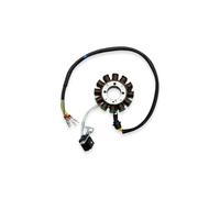 Stator Plate Motocross Stator Coil Magneto And Sprag Clutch Kit For ZONGSHEN NB300 CBS300 ZS174MN-3 Engine 8/12 Pole Assembly(12 Pole Stator)