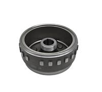 Stator Rotor Flywheel 21170103201 Compatible With ODES 650 Short ATV