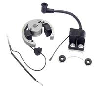 Stator Rotor Ignition Coil Flywheel with Bracket Compatible with 50 SX Pro Adventure Pro Junior Models 2001-2019