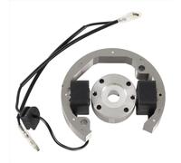 Stator Rotor Ignition Coil Magneto Flywheel Kit 50Cc SX 50 Junior Senior SR JR SX50 Adventure Pro