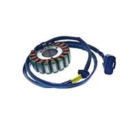 Stator Starter Generator Magneto For ODES DOMINATOR 800 RM PM STELS 800V 31120-E05-0000 21040109701 370101-001-0000 LU049967 Motorcycle replacement parts