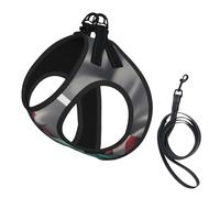 Statue of Liberty Flag Print Dog Harness with Leash Set with Thickened Padded Vest for Extra-Small/Small Medium Dogs