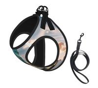 Statue Of Liberty In Nyc Print Harness Leash Set For Cat Dog, Reflective Adjustable Escape-Proof Vest Lead With Soft Breathable Mesh, For Small Pets And Kitten Puppy