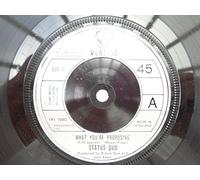 STATUS QUO - What You're Proposing - Status Quo 7" 45