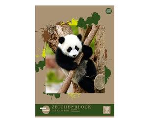 Staufen Edition Dürer Drawing Pad, DIN A3, 20 Sheets, Glued, Premium White 120 g/m² Drawing Paper, 2 Different Designs, Pack of 3, White