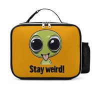 Stay Weird Aliens Leather Insulated Lunch Bag Reusable Lunchbox Portable Tote Bags with Detachable Buckled Handle 21x27x9cm