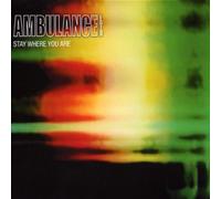 stay where you are cd rock