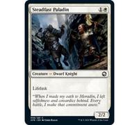 Steadfast Paladin | Adventures in the Forgotten Realms