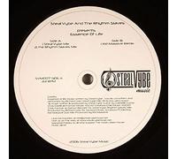Steal Vybe And The Rhythm Slaves - Essence Of Life-12"