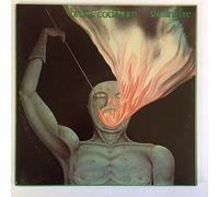 Stealing Fire by Bruce Cockburn (Record, 2010)