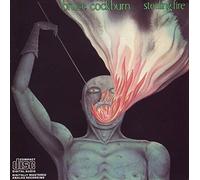 Stealing Fire by Bruce Cockburn (Record, 2010)
