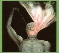 Stealing Fire (Deluxe Edition) by Bruce Cockburn (2003) Audio CD