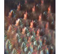 Stealing Sheep - Into The Diamond Sun