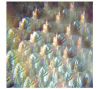 Stealing Sheep - Into the Diamond Sun [VINYL]