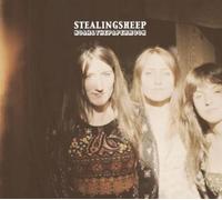 Stealing Sheep - Noah And The Papermoon