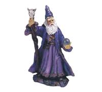 StealStreet SS-G-71155 Wizard Magician Collectible Fantasy Decoration Figurine Statue Model, Multicolor