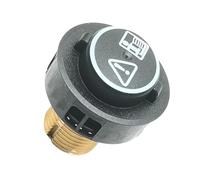 Steam Cleaner Brass Safety Valve, Compatibie for Karcher SC4 SC5, Steam Cleaner Plug Replacement Accessories(1pcs)