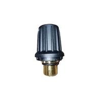 Steam Cleaner Brass Safety Valve，Compatible for KARCHER，SC1 Sc2 SC3 SC4 SC5 SG4-4 Replace Tank Lid