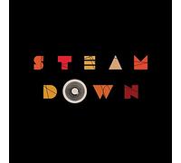 Steam Down - Five Fruit - New Vinyl Record 12 INCH RECORD - P11501z