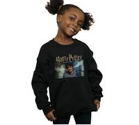 Steam Ears Sweatshirt Harry Potter Black 7-8 Years