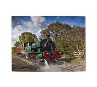 Steam Engine Train,500 Pieces Puzzles for Adults-Wooden Jigsaw Puzzle for Adults Elderly
