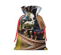 Steam Little Train Print Drawstring Gift Bags,For Holiday Season,Birthdays,Anniversaries And Any Special Occasion
