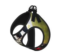 Steam Little Train Print Reflective No Choke Pet Vest Harness,Adjustable Soft Padded Dog Harness With Easy Control Handle