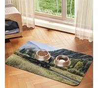 Steam Locomotive Train print Cats Pet Bowl Placemat Pet Feeding Mats for Dogs, Non-Slip PU Leather Tablecloth for Pets