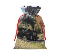 (Steam Locomotive Train) Print Christmas New Year Candy Gift Bag, Red Xmas Ribbon Drawstring Bags for Kids Xmas Holiday Eve Presents S Size
