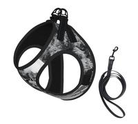 Steam Locomotive Train Print Dog Harness Adjustable Walk Puppy Harnesses Leash Clips Pet Harnesses Training Pet Vest