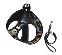 Steam Locomotive Train print Dog Harness and Leash Set, Reflective Adjustable Puppy Vest for Small Medium Large Dogs, Cats