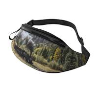 Steam Locomotive Train Waist Bag Bumbags for Men Women, Print Polyester Waist Pack for Travel Walking Sport with Adjustable Strap