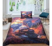 Steam Train 3D Digital Printing Covers Bedding Sets Soft And Comfortable, 100% Microfiber Rail Locomotive Duvet Cover Set 3 Pcs with Pillowcases Single（135x200cm）