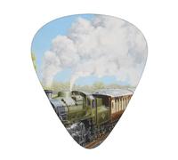 Steam Train And Railway,12 Pcs Guitar Pick,3 Different Thickness Plectrums for Acoustic Guitar Bass Ukulele (0.46mm 0.96mm 0.71mm)