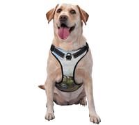 Steam Train And Railway,Pet Harness,Adjustable Reflective Dog Harness,Pet Leash Vest,XL