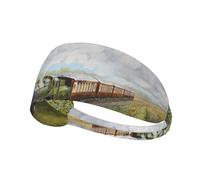 Steam Train And Railway,Sports Sweatband for Unisex Multi Headband Elastic Exercise Hairband
