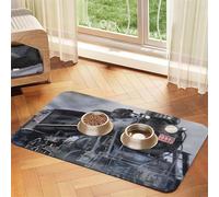 Steam Train Clouds print Cats Pet Bowl Placemat Pet Feeding Mats for Dogs, Non-Slip PU Leather Tablecloth for Pets
