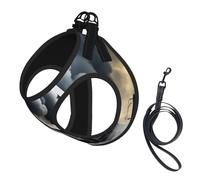 Steam Train Clouds printing Dog Harness with Leash Set, Step-in Breathable Puppy Cat Dog Vest, No Pull Adjustable Puppy Harness