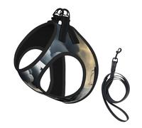 Steam Train Clouds printing Puppy Harness, Dog Harness and Leash Set, Soft Mesh Reflective Breathable Lightweight Vest-Style