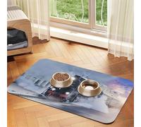 Steam Train Depart Sunset print Cats Pet Bowl Placemat Pet Feeding Mats for Dogs, Non-Slip PU Leather Tablecloth for Pets
