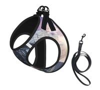Steam Train Depart Sunset Print Dog Harness Small Sized And Leash Set, Step In Soft Light Puppy Vest Breathable Mesh Pet Harness