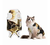 Steam Train Dog Surgery Suit Recovery Suit, 100% Cotton Breathable Full Body Dog & Cat Surgical Suit with Cute Prints, Alternative to Cone for Spay Neuter Wound Care, Male & Female Pets Medium