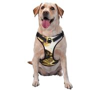 Steam Train Premium Dog Harness for Small, Medium, and Large Dogs - Durable, No Pull with Reflective Straps and Quick Release BucklesSmall