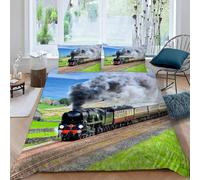 Steam Train Railway Single Duvet Cover Set Retro Bedding 3D Soft Comfort Microfiber Quilt Cover 150x200 cm with Zipper Closure and 2 Pillowcases for Kids Teenager Adults F.1094