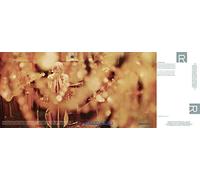 Steamhammer - Reflection [VINYL]