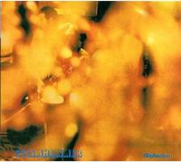 Steamhammer - Steamhammer: AKA Reflection [VINYL]