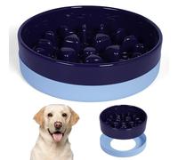 Sted Ceramic Slow Feeder Dog Bowls for Medium Large Breed, Slow Feeding Dog Bowl, Dog Food Bowls for Fast Eaters, Slow Down Eating, Puzzle Dog Food Bowl with Silicone Base, Maze Blue