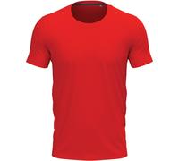 Stedman Mens Short Sleeve Slim Fitted Body Fit Cotton Elastane Tee T-Shirt